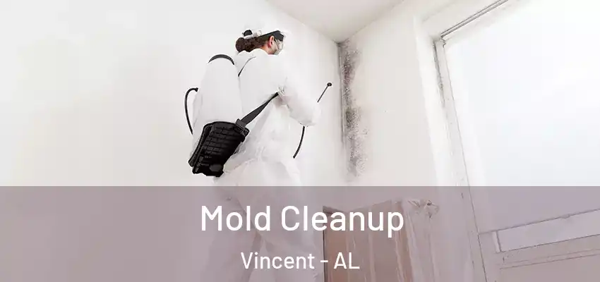  Mold Cleanup Vincent - AL