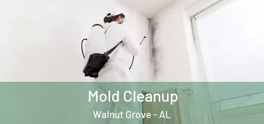 Mold Cleanup Walnut Grove - AL