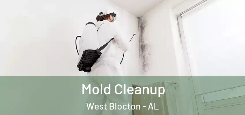 Mold Cleanup West Blocton - AL