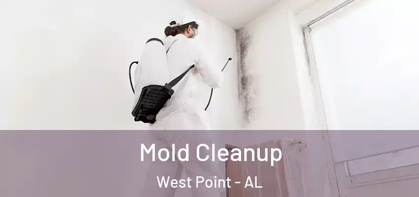 Mold Cleanup West Point - AL