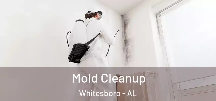  Mold Cleanup Whitesboro - AL