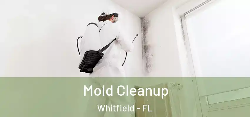  Mold Cleanup Whitfield - FL