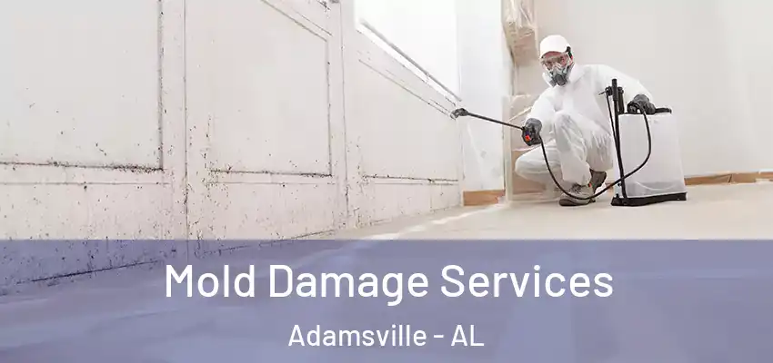 Mold Damage Services Adamsville - AL
