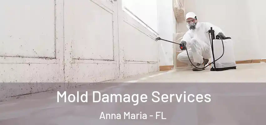  Mold Damage Services Anna Maria - FL