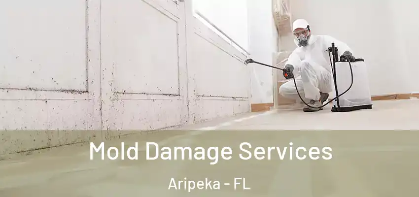 Mold Damage Services Aripeka - FL