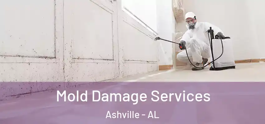 Mold Damage Services Ashville - AL