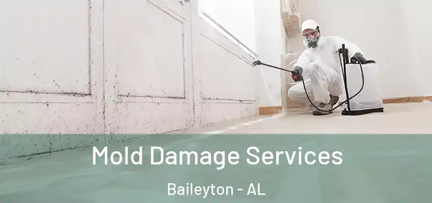 Mold Damage Services Baileyton - AL