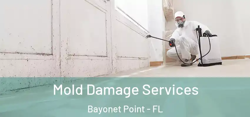  Mold Damage Services Bayonet Point - FL