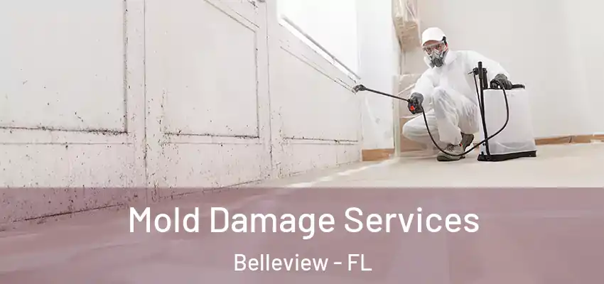 Mold Damage Services Belleview - FL