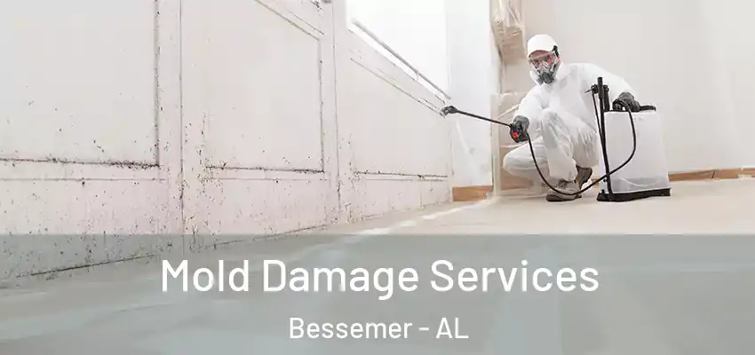  Mold Damage Services Bessemer - AL