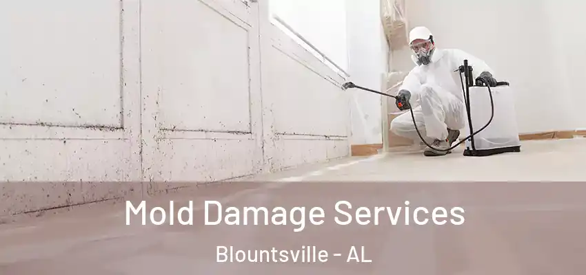 Mold Damage Services Blountsville - AL