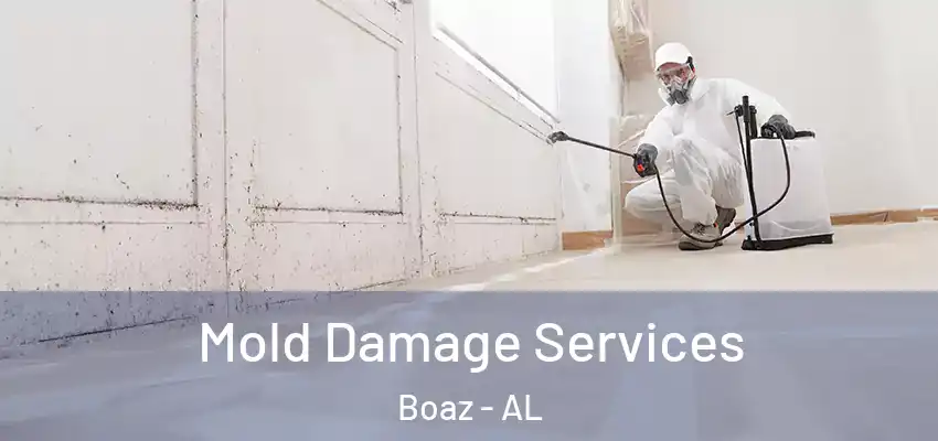 Mold Damage Services Boaz - AL