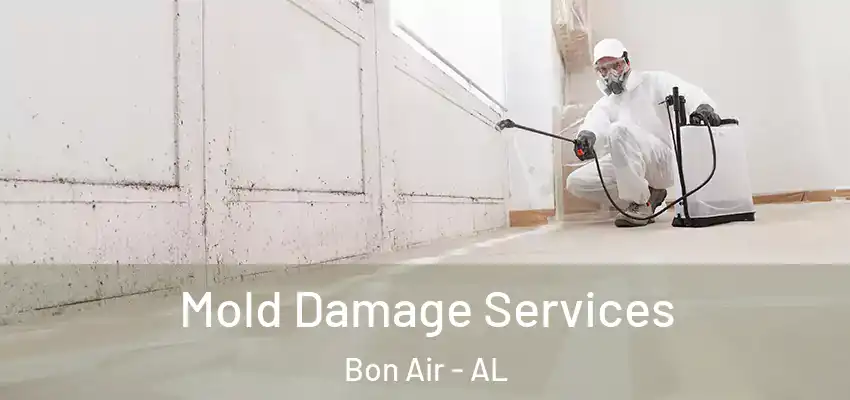  Mold Damage Services Bon Air - AL