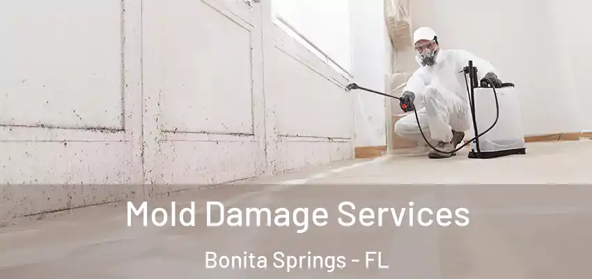  Mold Damage Services Bonita Springs - FL