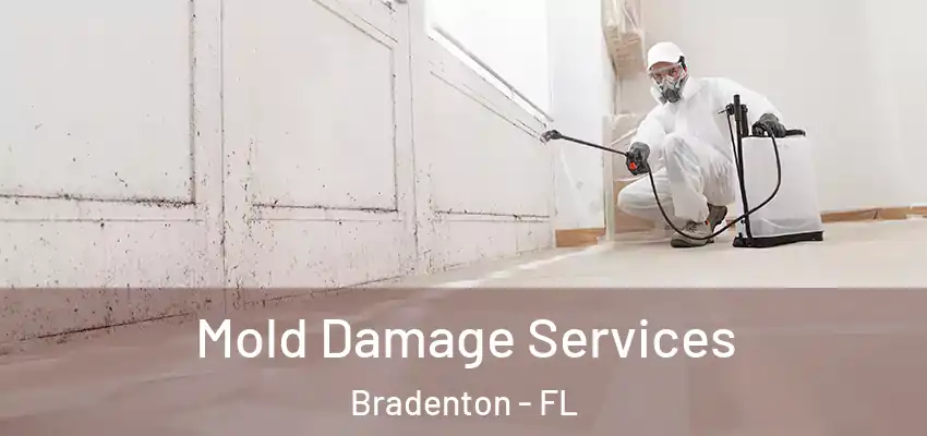 Mold Damage Services Bradenton - FL