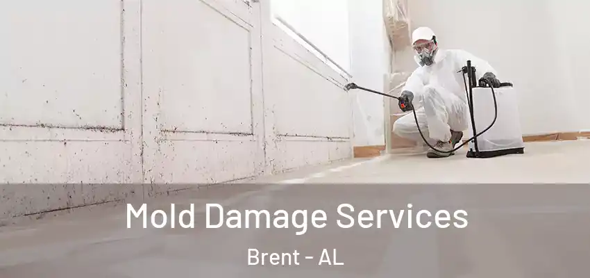  Mold Damage Services Brent - AL