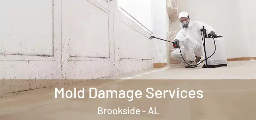 Mold Damage Services Brookside - AL