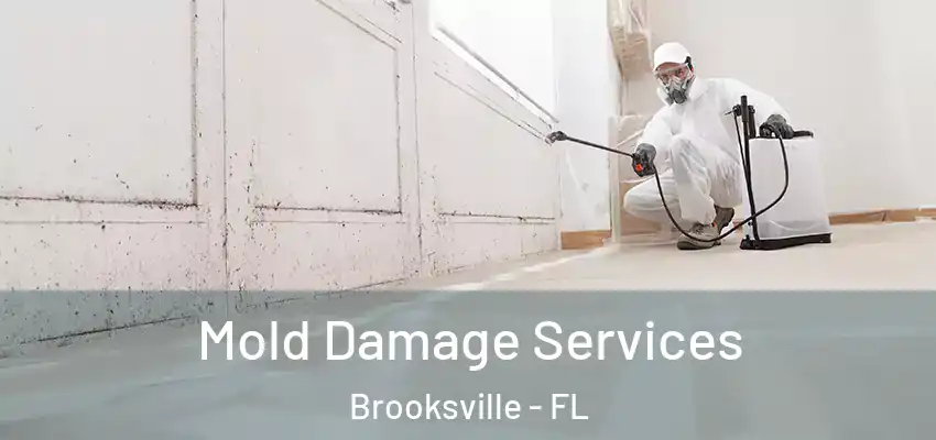  Mold Damage Services Brooksville - FL