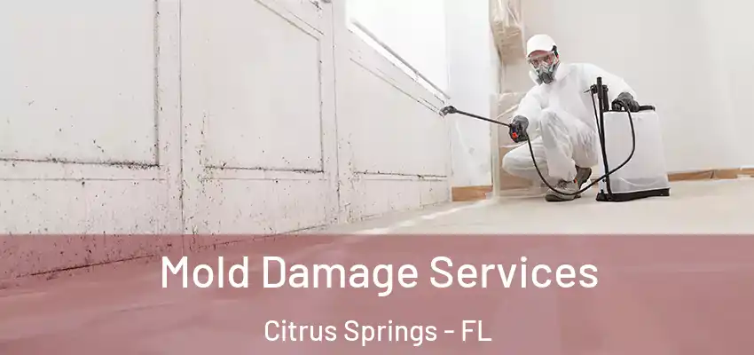 Mold Damage Services Citrus Springs - FL