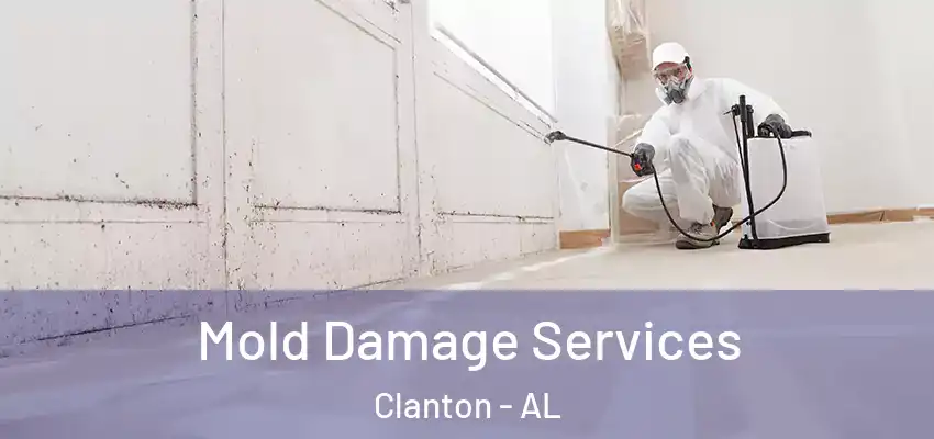 Mold Damage Services Clanton - AL