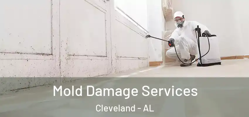 Mold Damage Services Cleveland - AL