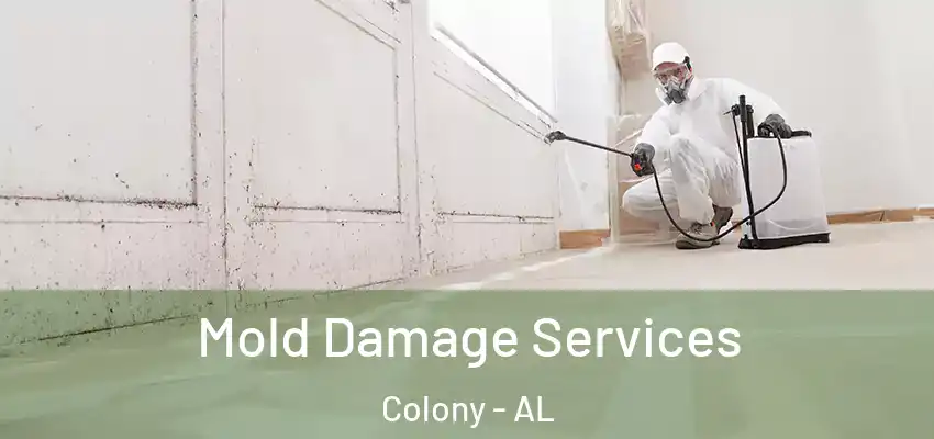 Mold Damage Services Colony - AL