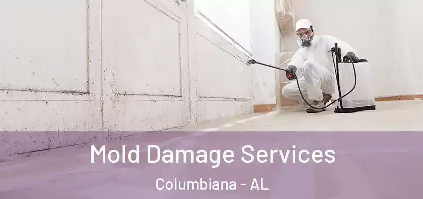  Mold Damage Services Columbiana - AL