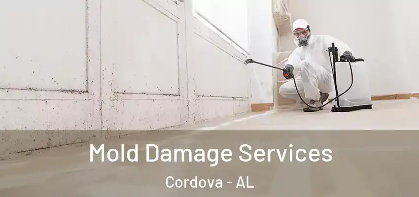 Mold Damage Services Cordova - AL