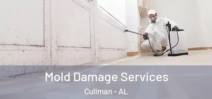 Mold Damage Services Cullman - AL
