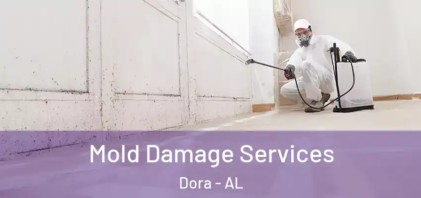 Mold Damage Services Dora - AL