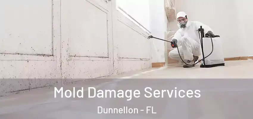 Mold Damage Services Dunnellon - FL