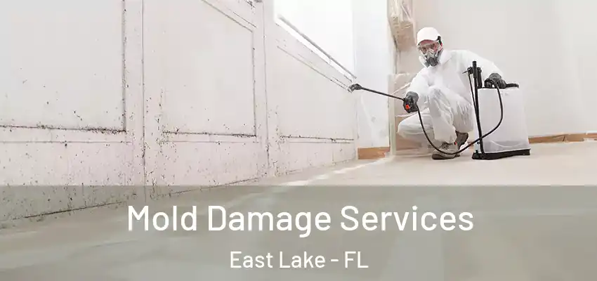 Mold Damage Services East Lake - FL
