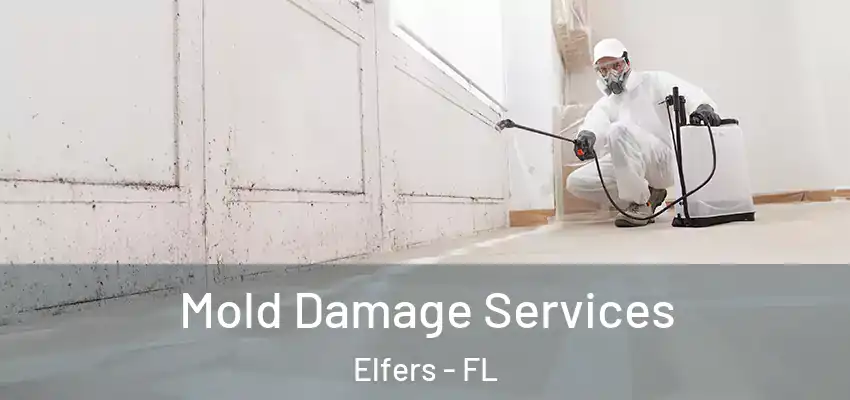  Mold Damage Services Elfers - FL