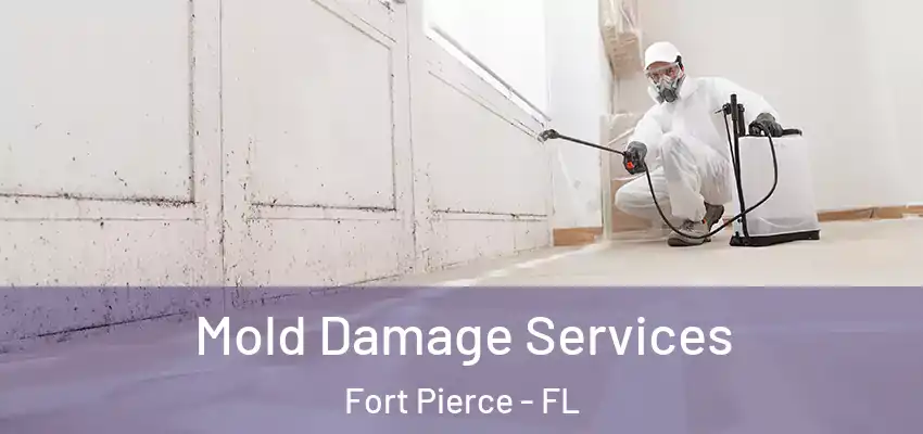 Mold Damage Services Fort Pierce - FL