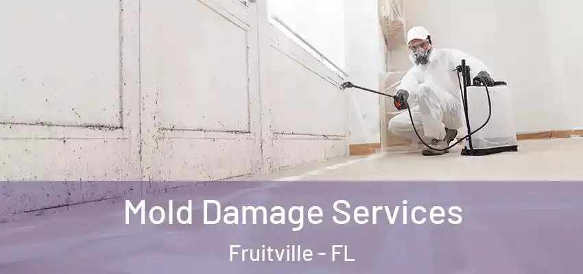 Mold Damage Services Fruitville - FL