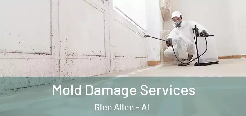 Mold Damage Services Glen Allen - AL