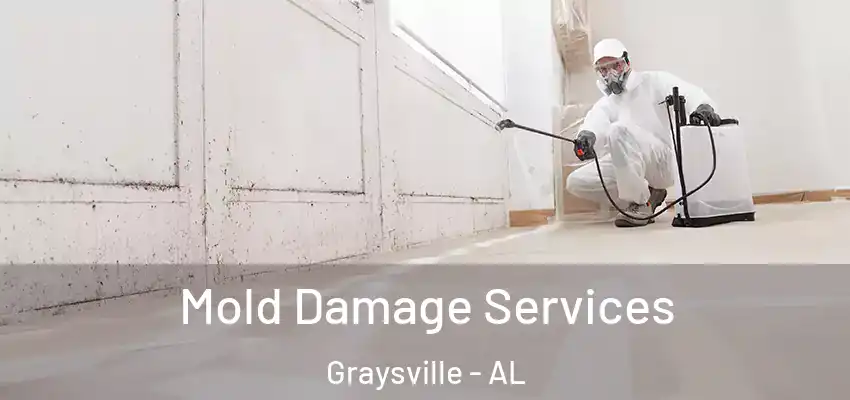 Mold Damage Services Graysville - AL