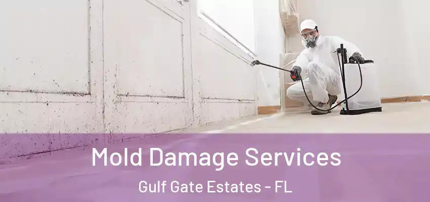  Mold Damage Services Gulf Gate Estates - FL