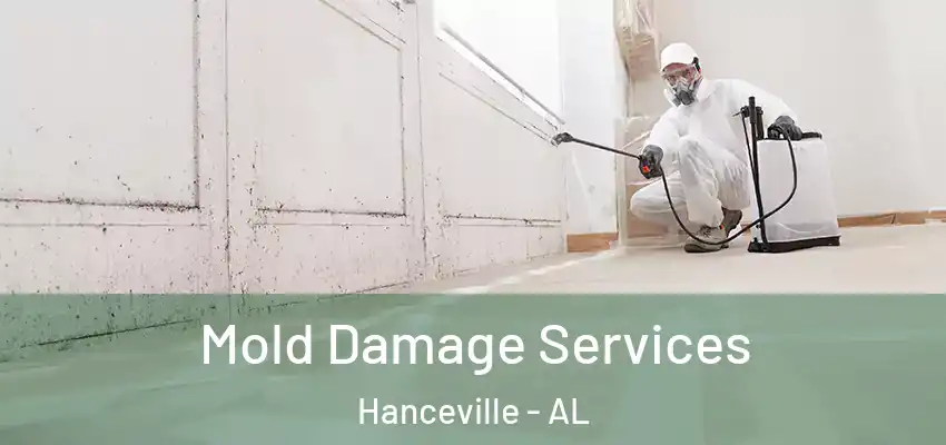 Mold Damage Services Hanceville - AL