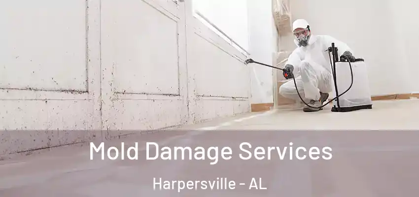 Mold Damage Services Harpersville - AL