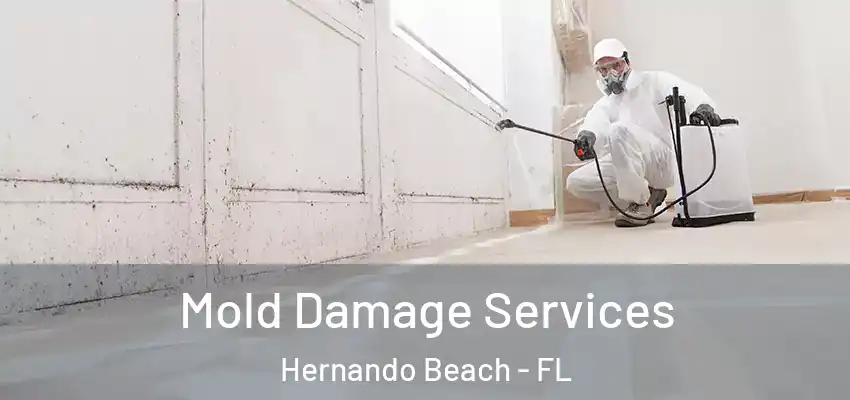 Mold Damage Services Hernando Beach - FL