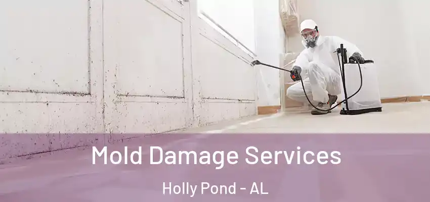 Mold Damage Services Holly Pond - AL