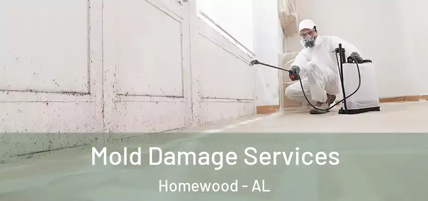 Mold Damage Services Homewood - AL