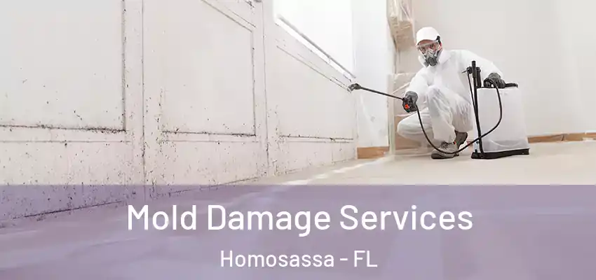 Mold Damage Services Homosassa - FL