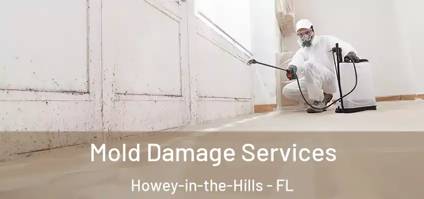  Mold Damage Services Howey-in-the-Hills - FL