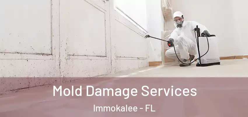  Mold Damage Services Immokalee - FL