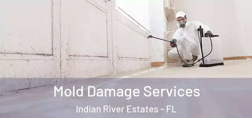 Mold Damage Services Indian River Estates - FL