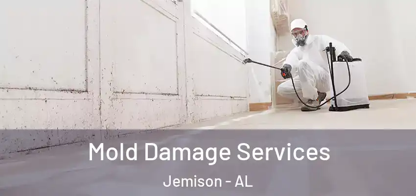  Mold Damage Services Jemison - AL