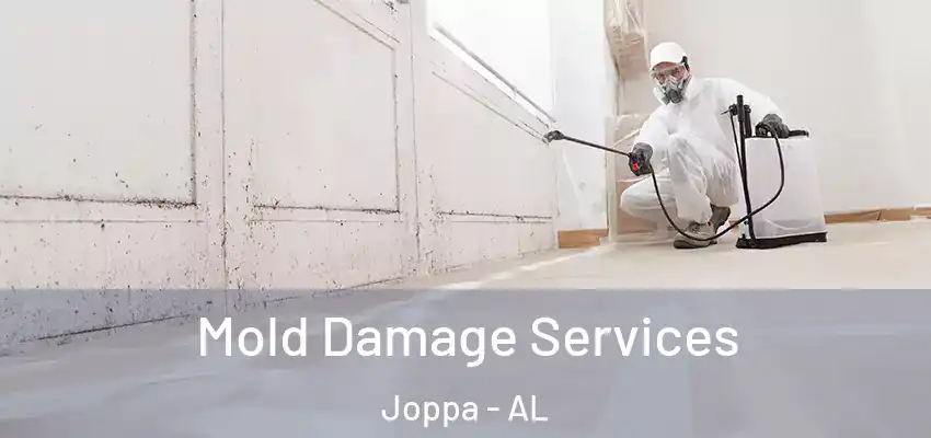  Mold Damage Services Joppa - AL