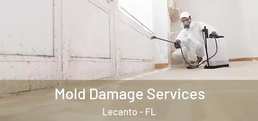 Mold Damage Services Lecanto - FL